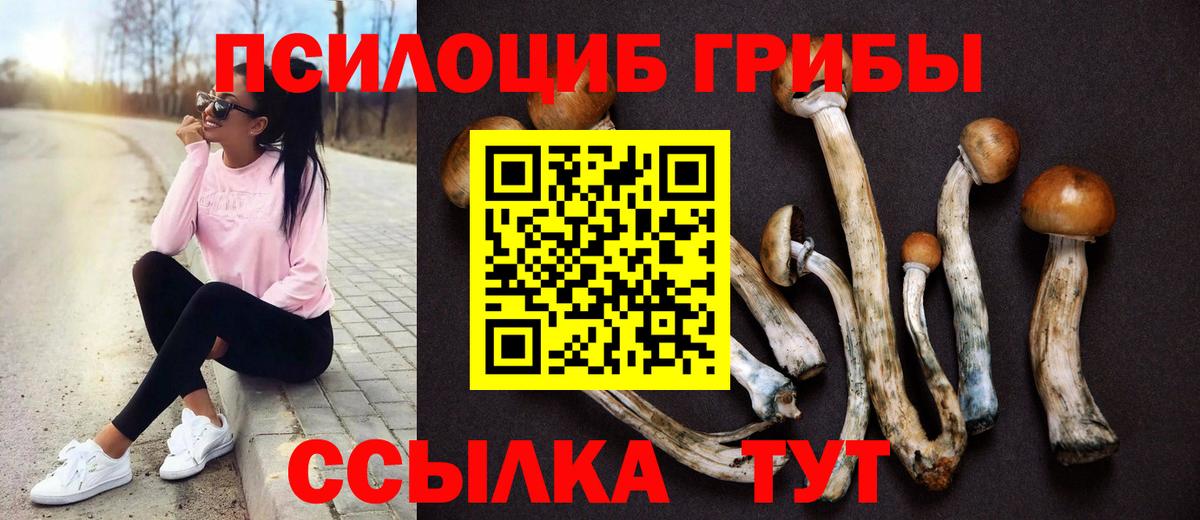 Галлюциногенные грибы Psilocybine cubensis Донецк