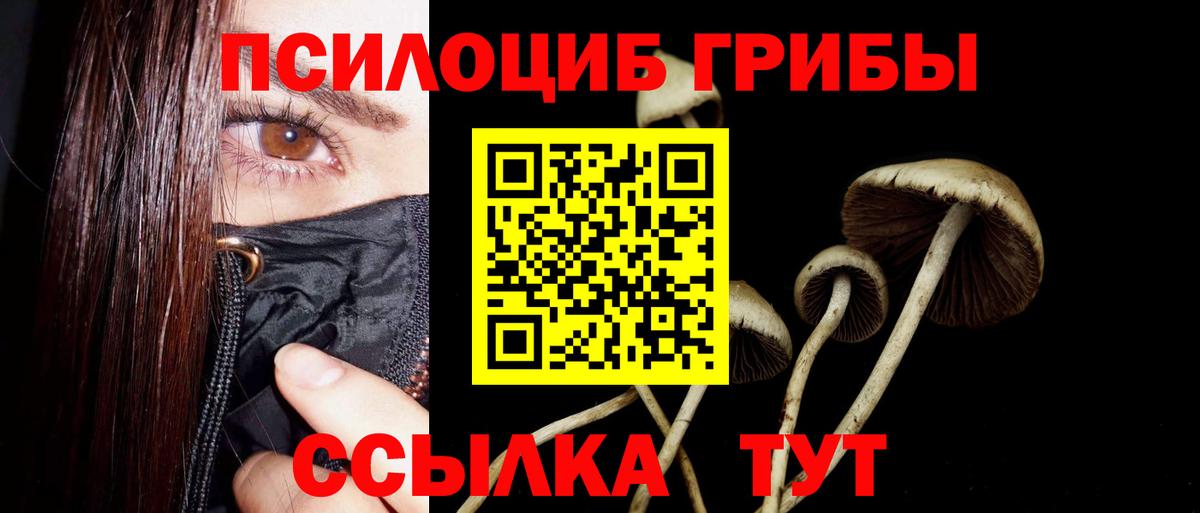 продажа наркотиков  Вход с VPN  Донецк  Псилоцибиновые грибы Psilocybe 